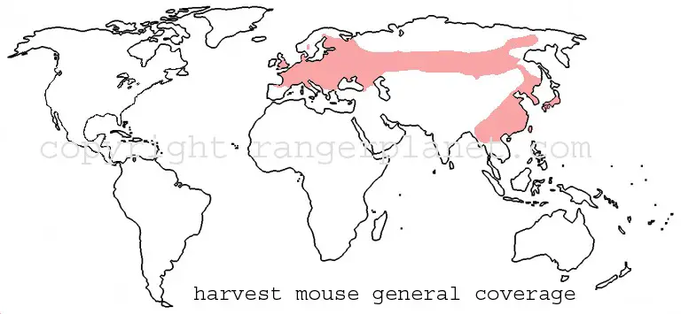harvest mouse general species coverage